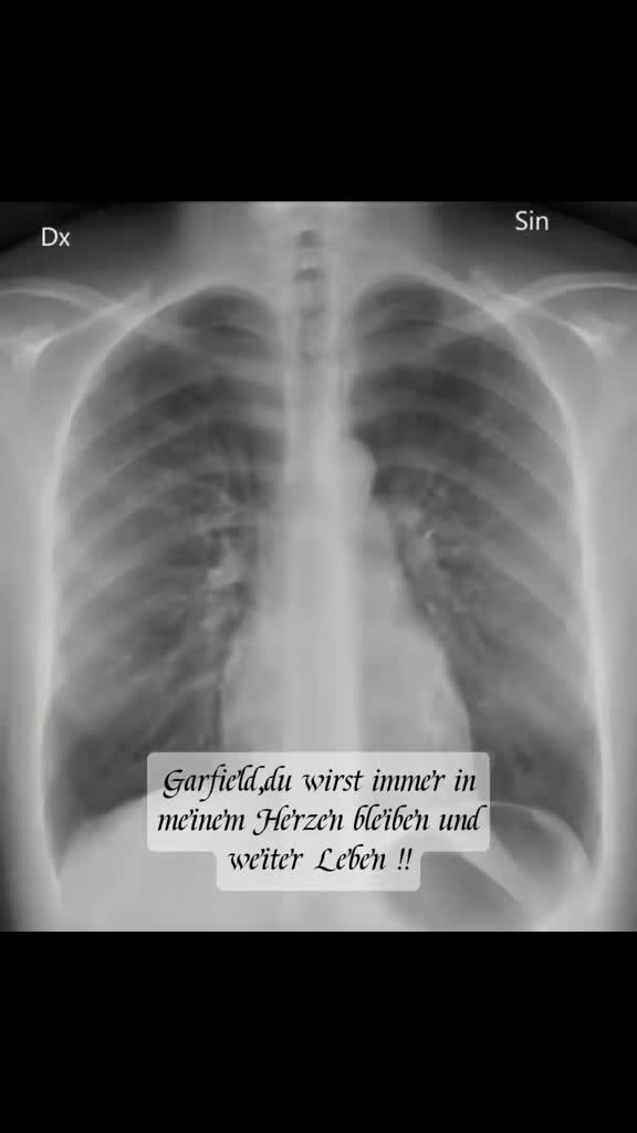 @❤️Janet,Teddy und Blümchen❤️