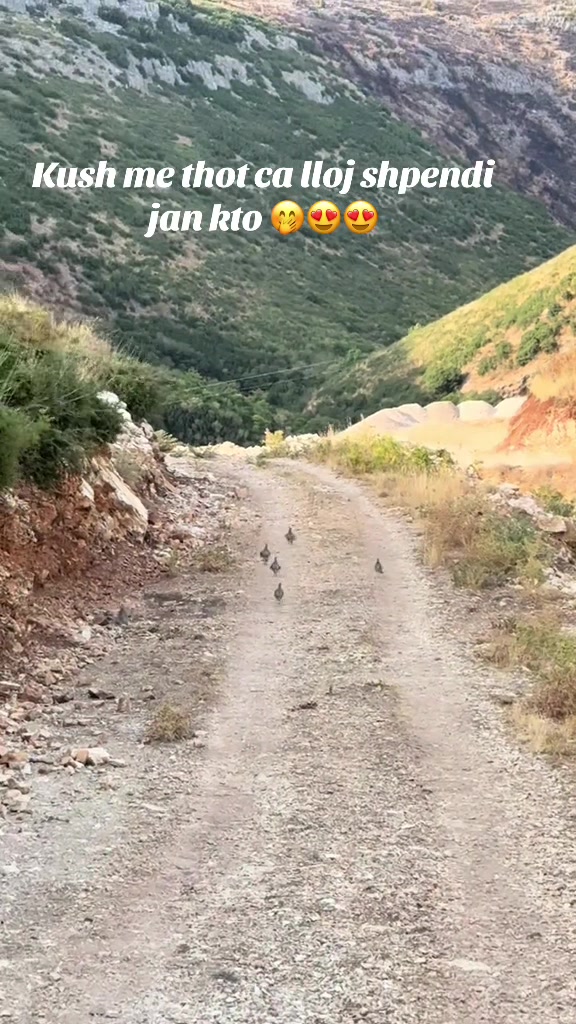 @STANI_COBANIT😍