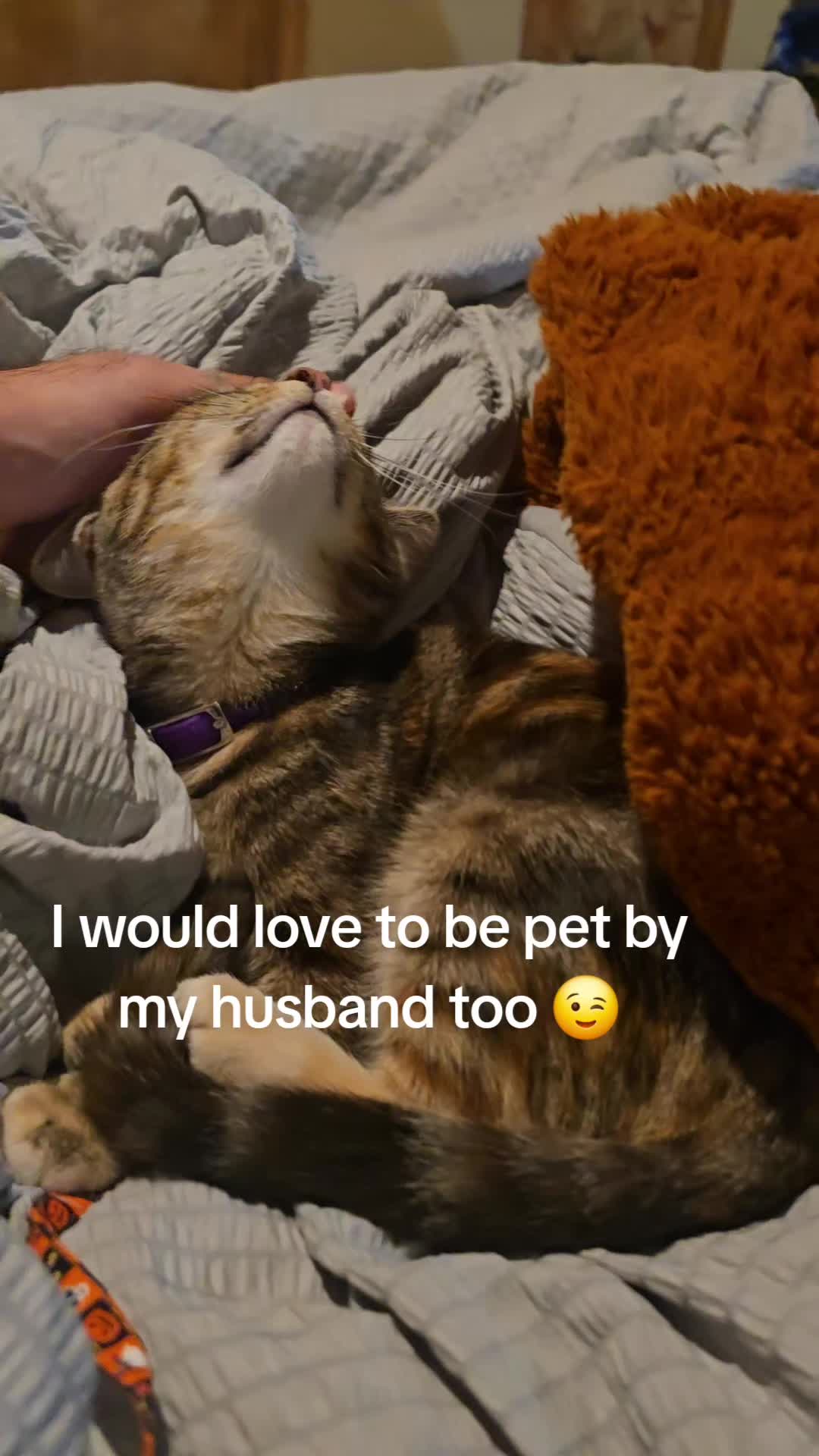 @ChelseyMartin
