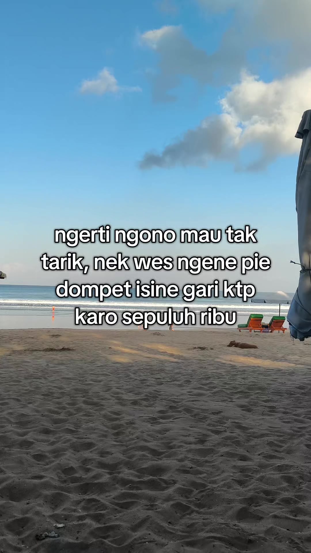 @aliell