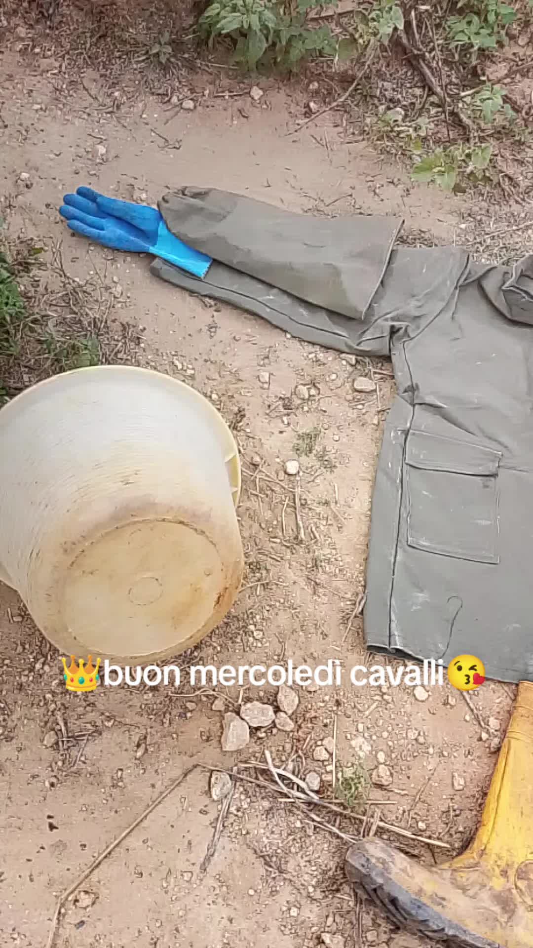 @Stefano Zagara