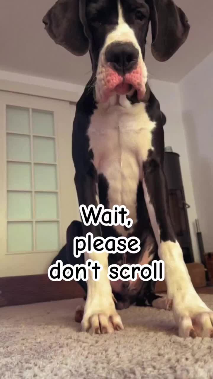 @MissBosse