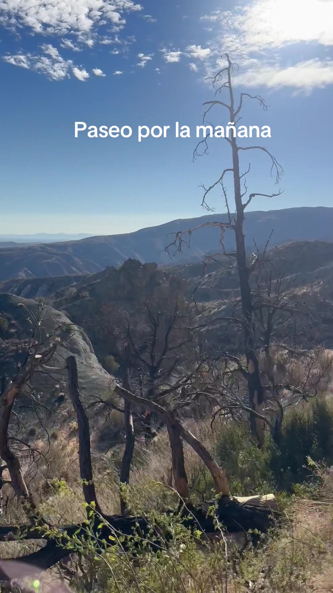 @Ame de ram