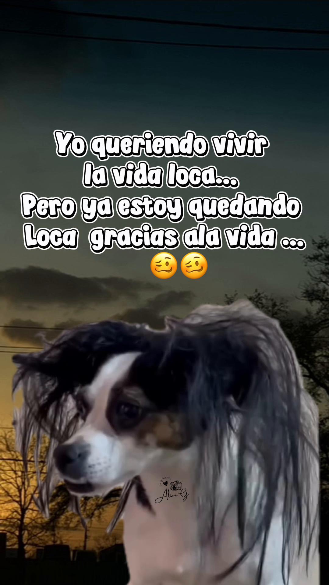 @𝓐𝓵𝓲𝓬𝓮 𝓖'👩&zwj;🍳🍪🦋☘️