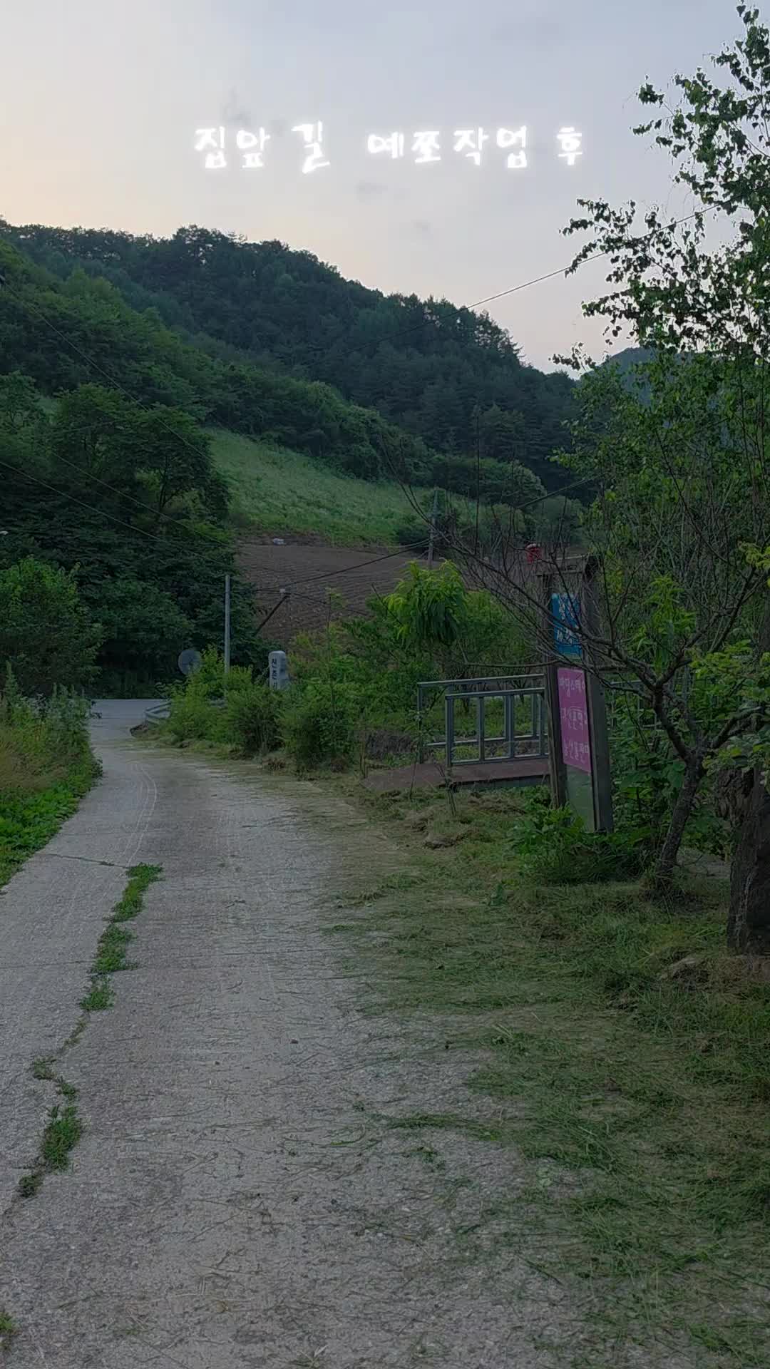 @유튜브 "정선사람들" 안용현