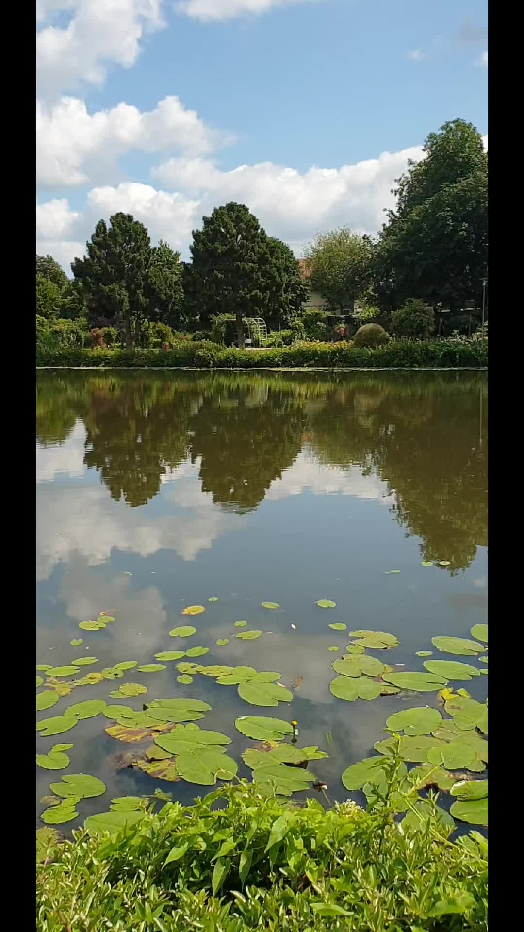 @شبهای تنهایی