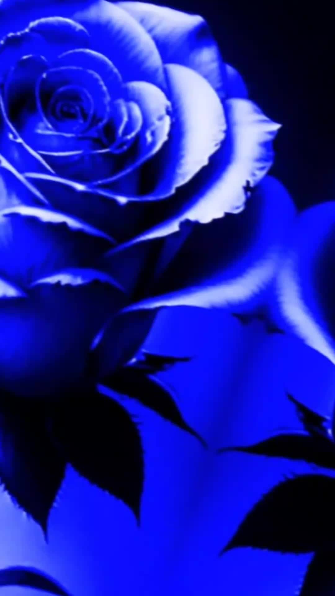 @Cr33$h🥀