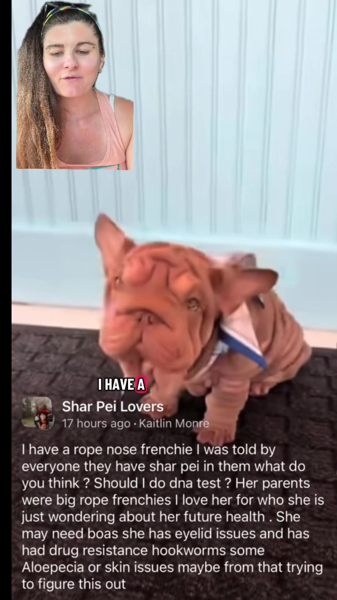 @Jess Shark🐾DOG PACK🐾