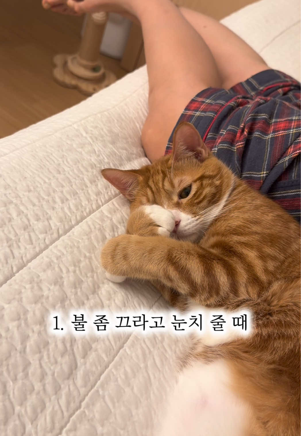 @뮤춘삼