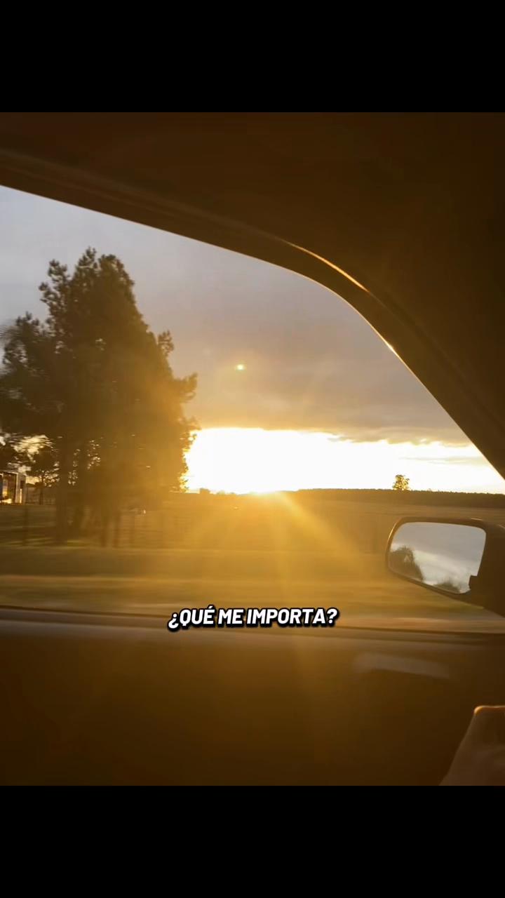 @Ariana Gavini