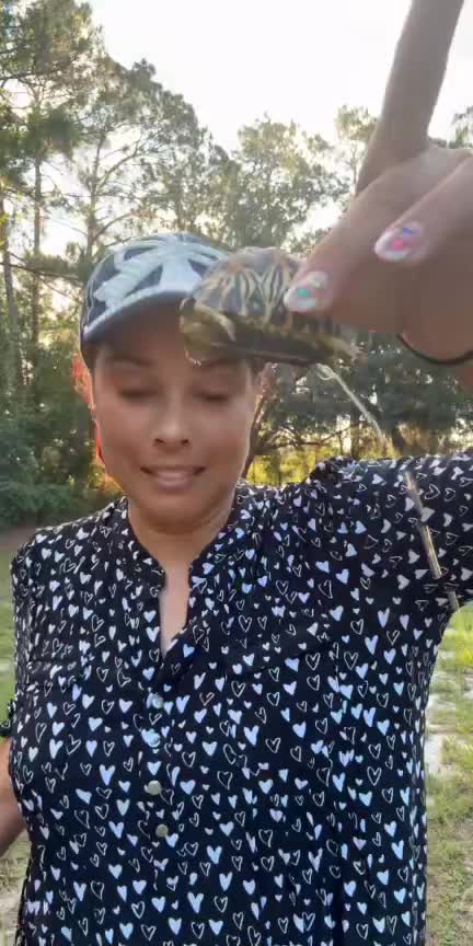 @KTeamAdventures🚜💛🦋