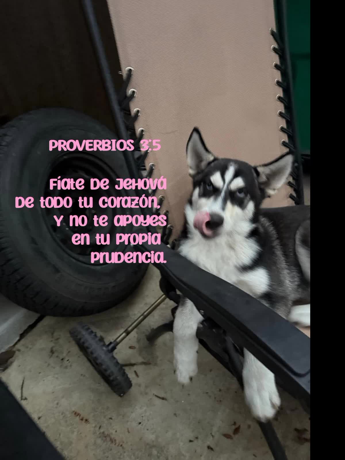 @Mariela 💖