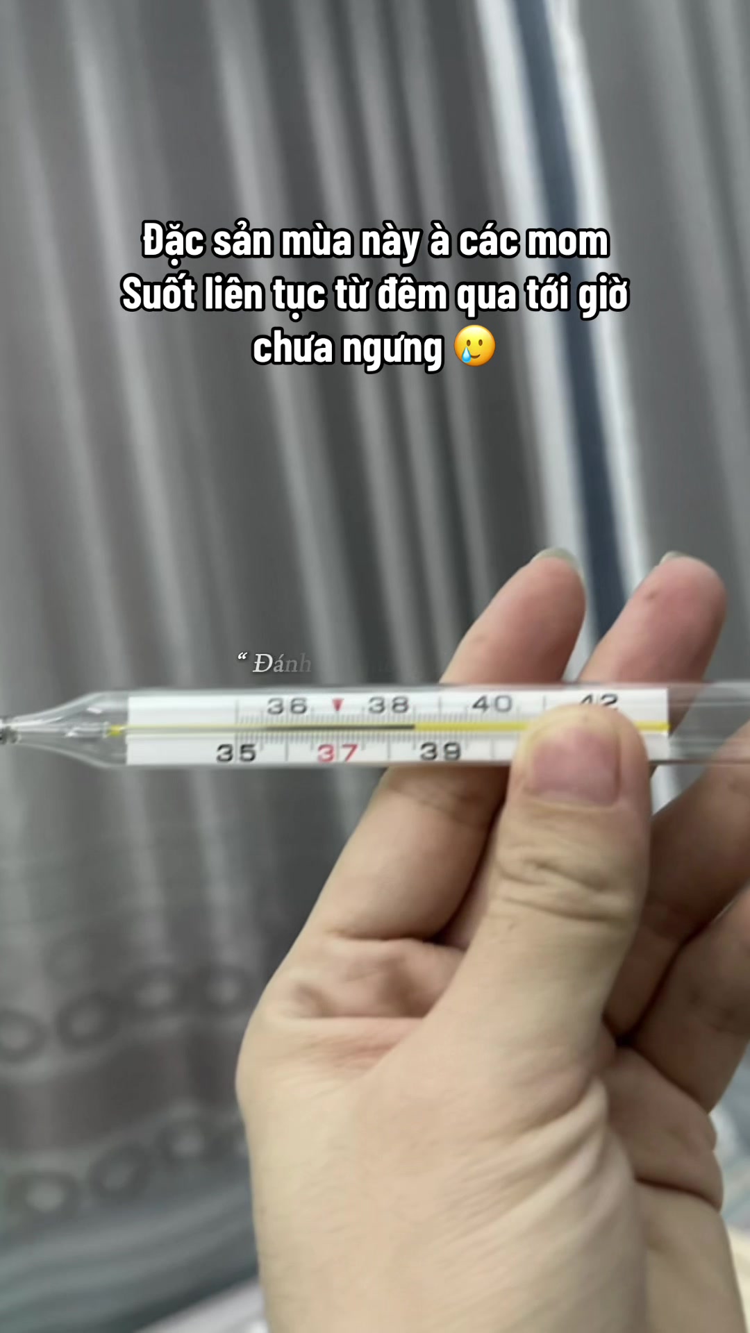 @Tôm hai xoáy 🦐