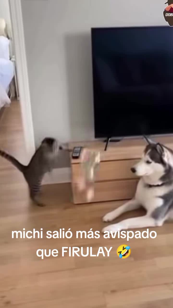 @jhon mario Z&uacute;&ntilde;iga