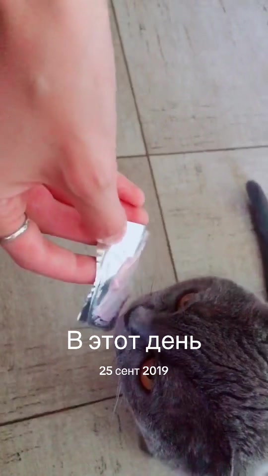 @татитатута