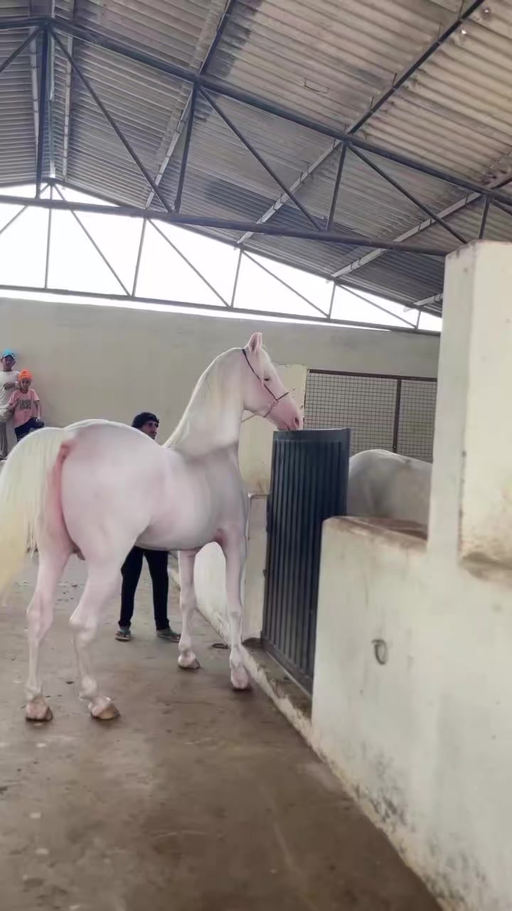 @@𝙂𝙍 𝙃𝙤𝙧𝙨𝙚 𝙁𝙖𝙧𝙢 🐴