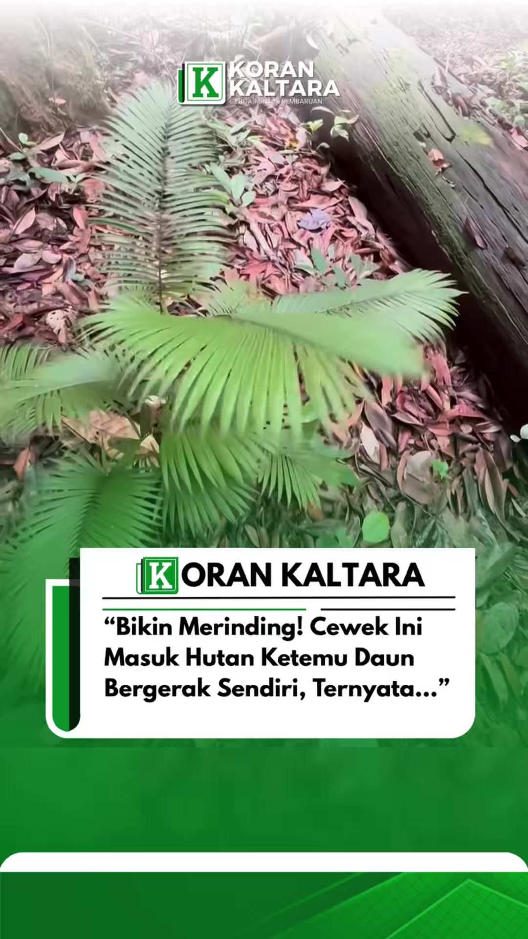 @korankaltara
