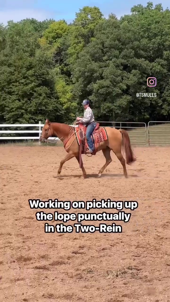 @Skye Evans TSMULES