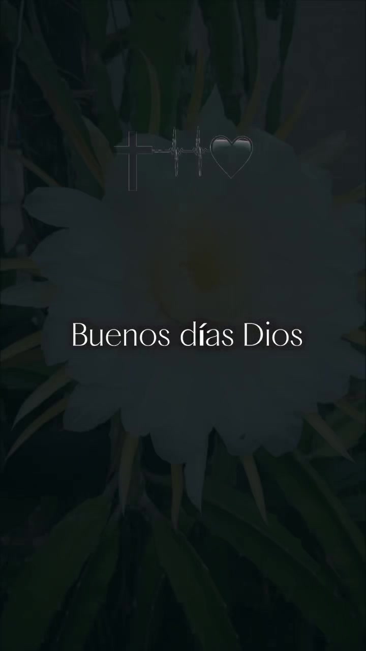 @Josué wendell
