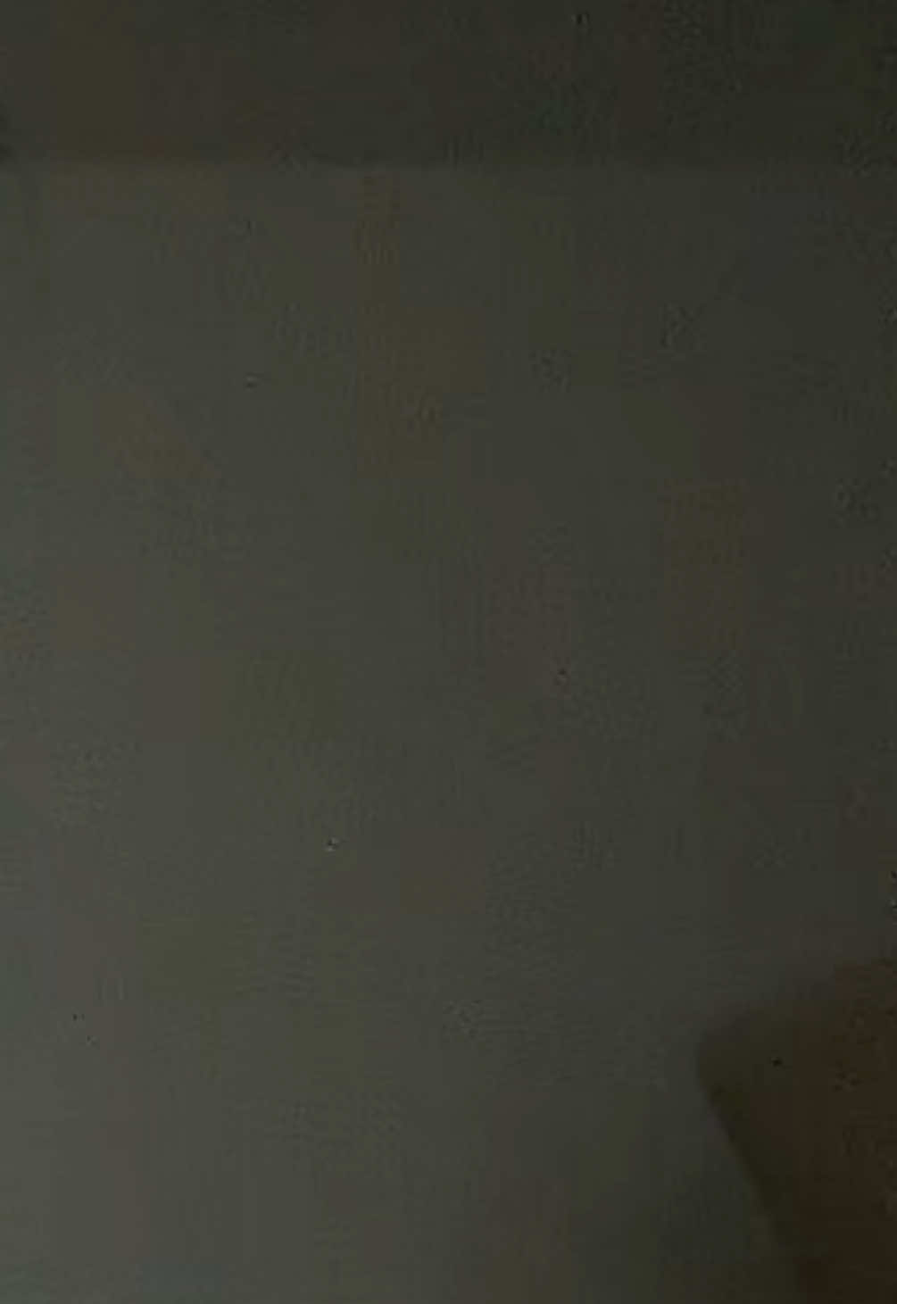 @babsi