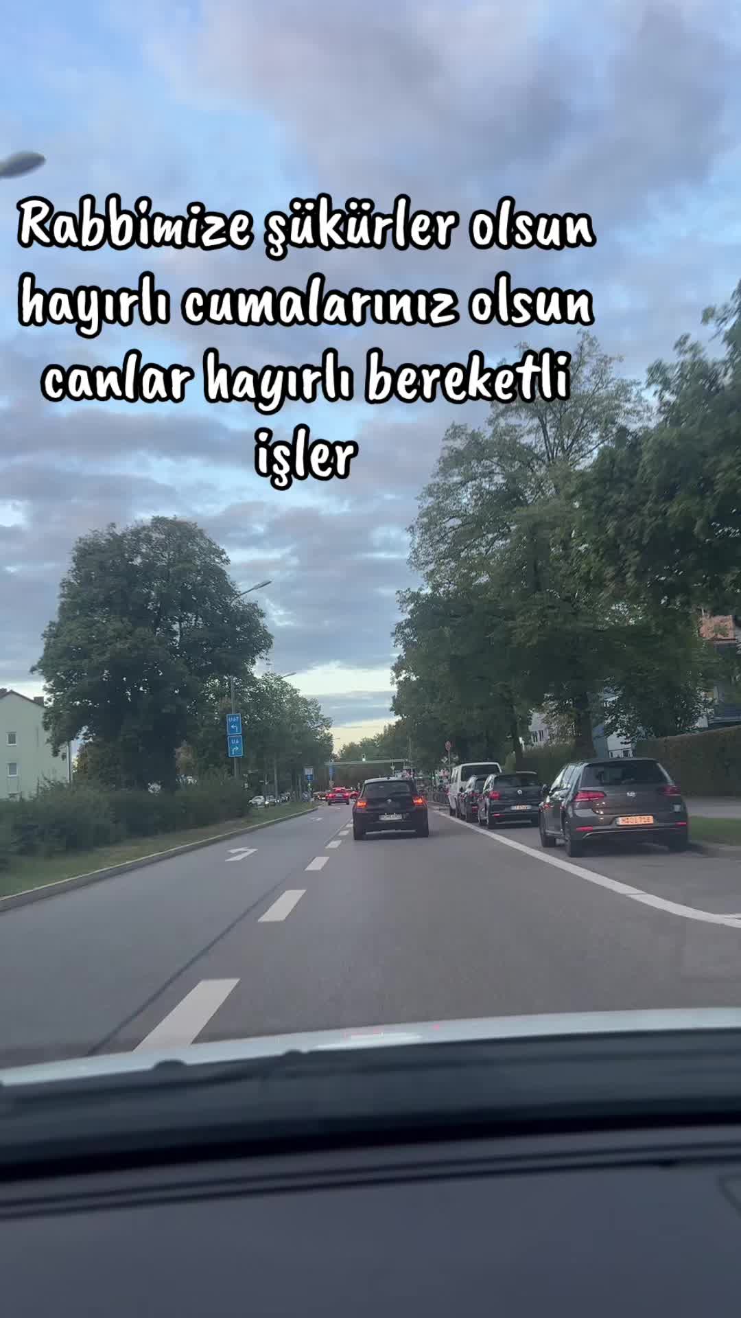 @&ldquo;AneMoN &Ccedil;i&ccedil;egi&rdquo;🌻🥀🌼🌷🌸