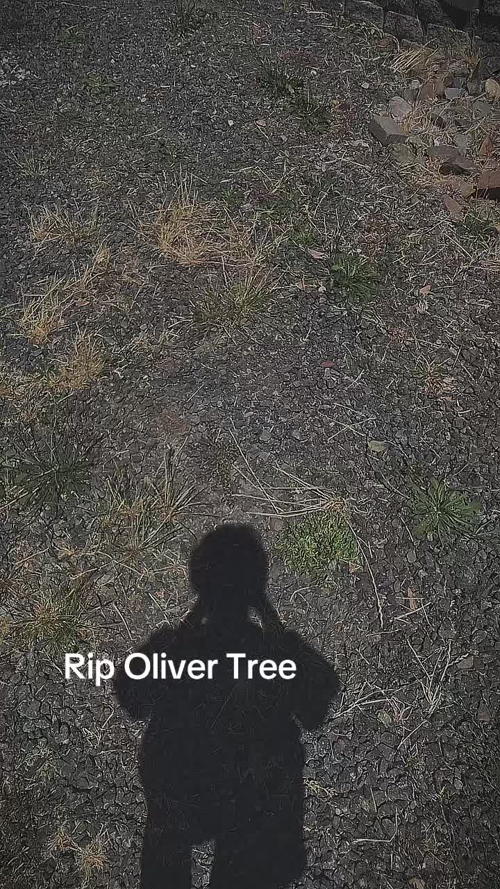 @48vEmerson🐒