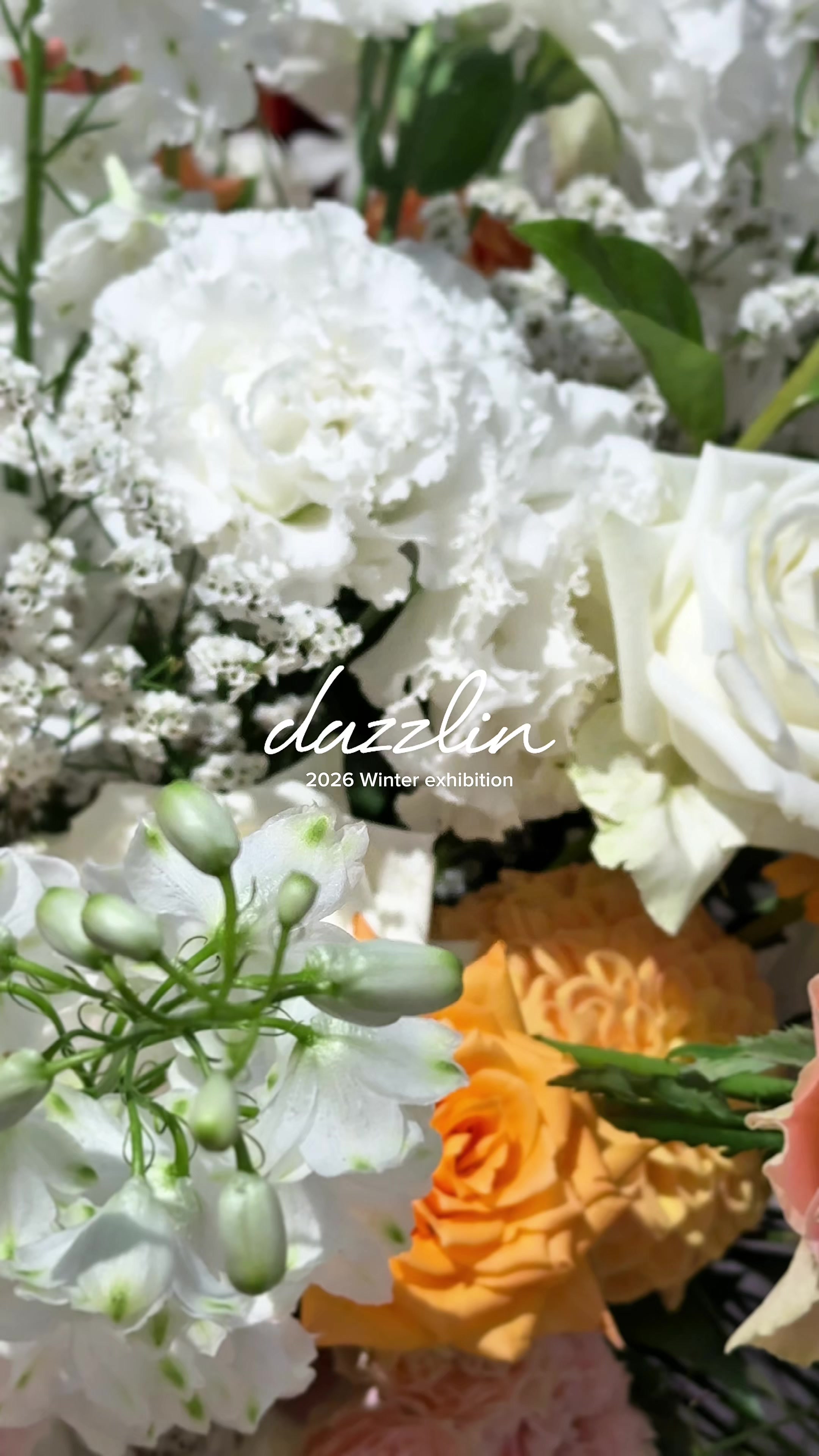 @dazzlin【公式】