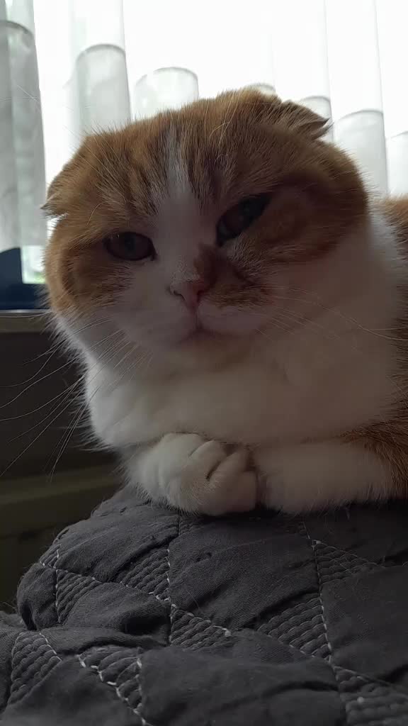 @Anneke & Simba