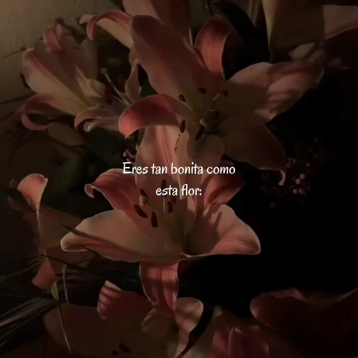 @goodvibessxd