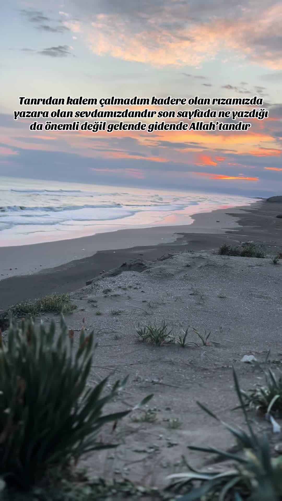@Mertşavlug🤝