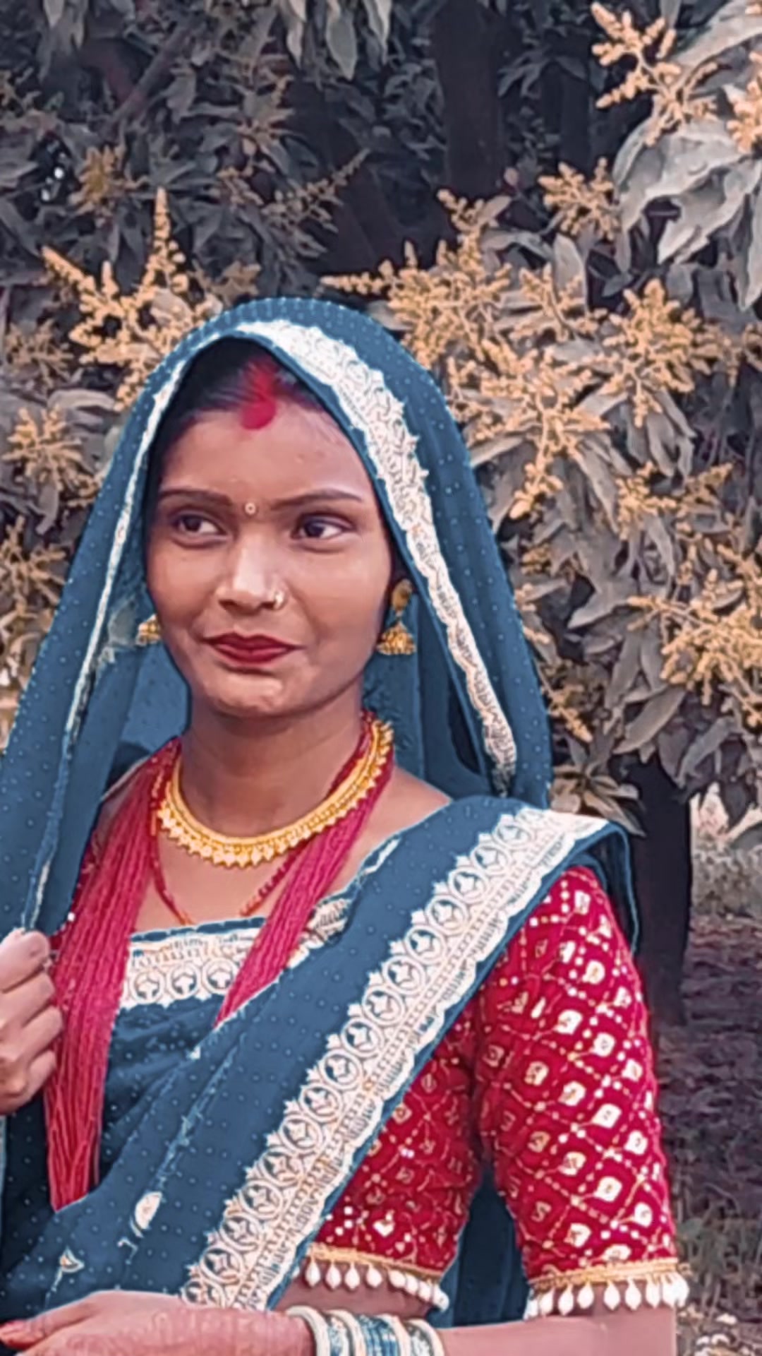 @siddarthsah