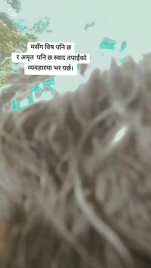 @papa_ki_serni🦁🦁