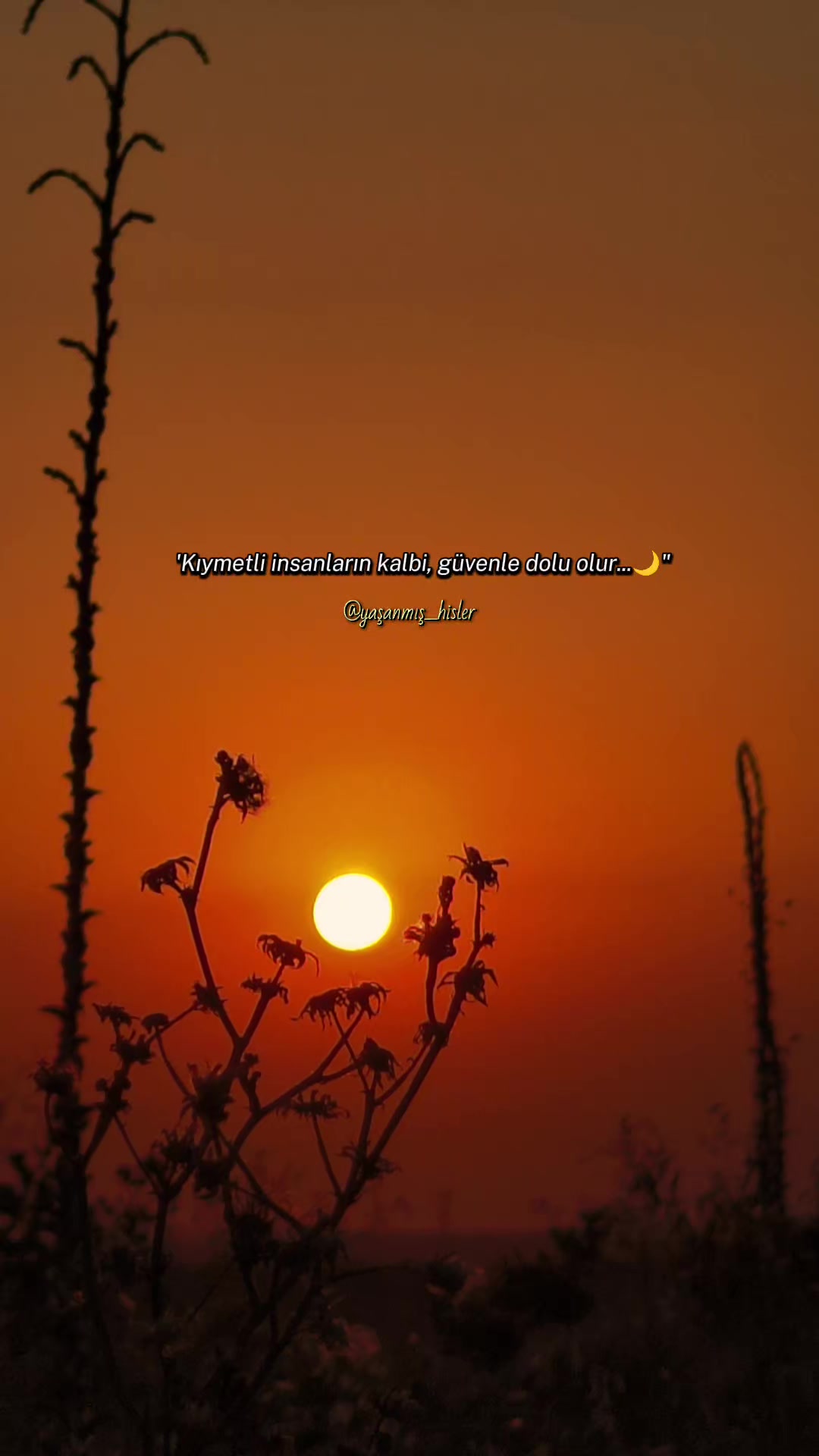 @•ʏᴀꜱ̧ᴀɴᴍɪꜱ̧ ʜɪ̇ꜱʟᴇʀ•
