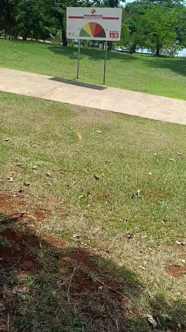 @Sara Souza