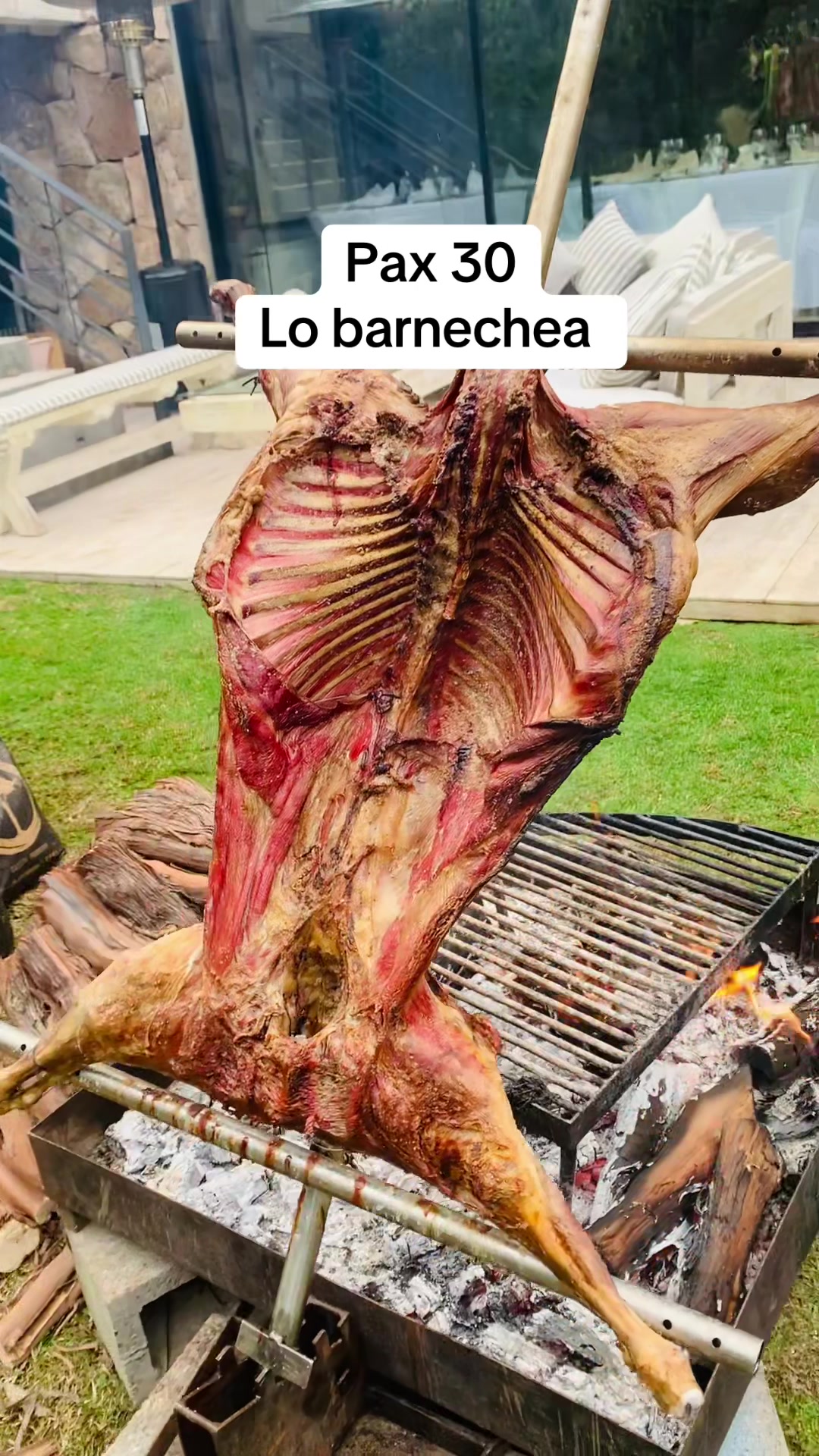 @Wawo de Chile
