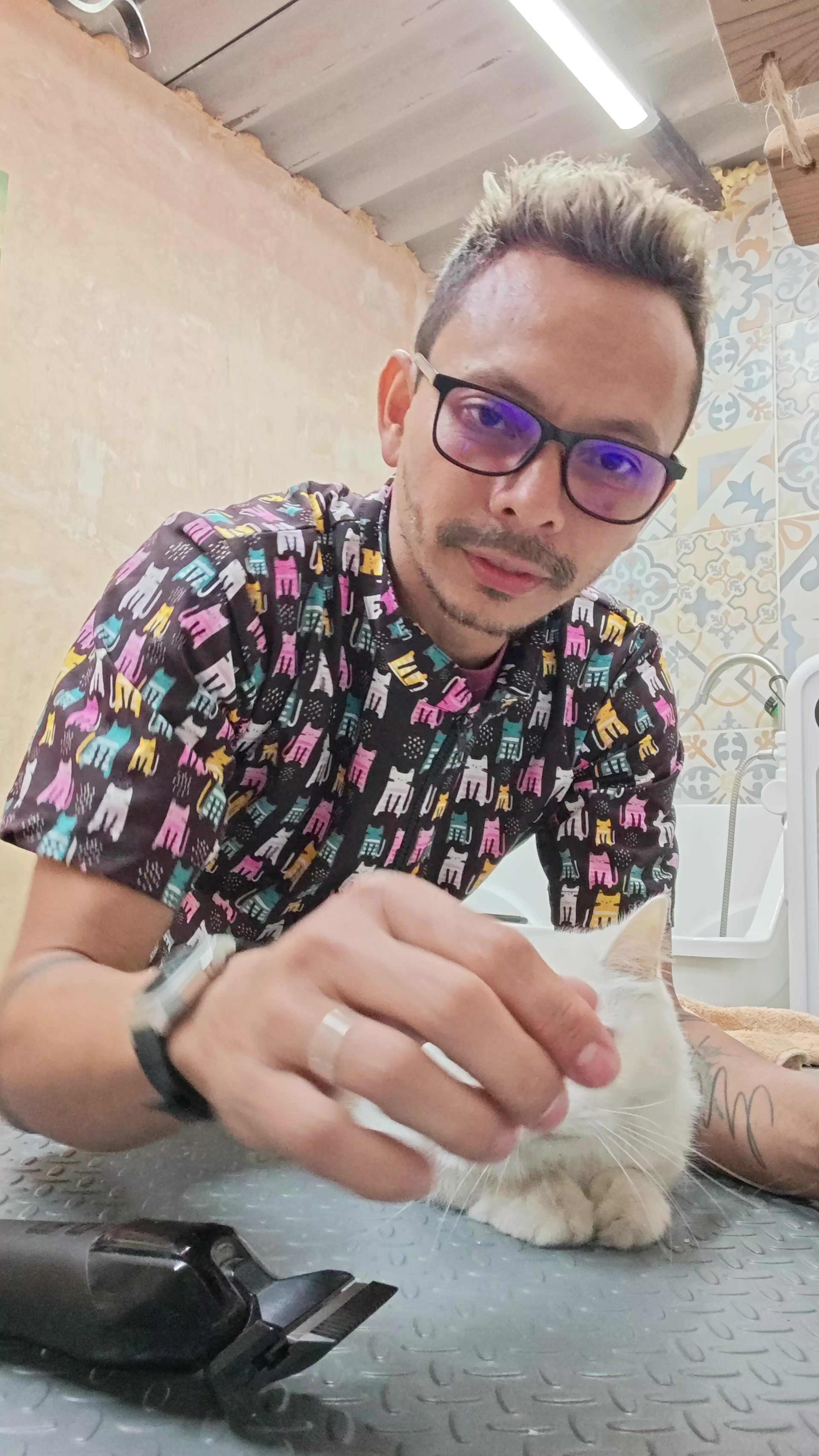 @DavidPino/Mattscotero
