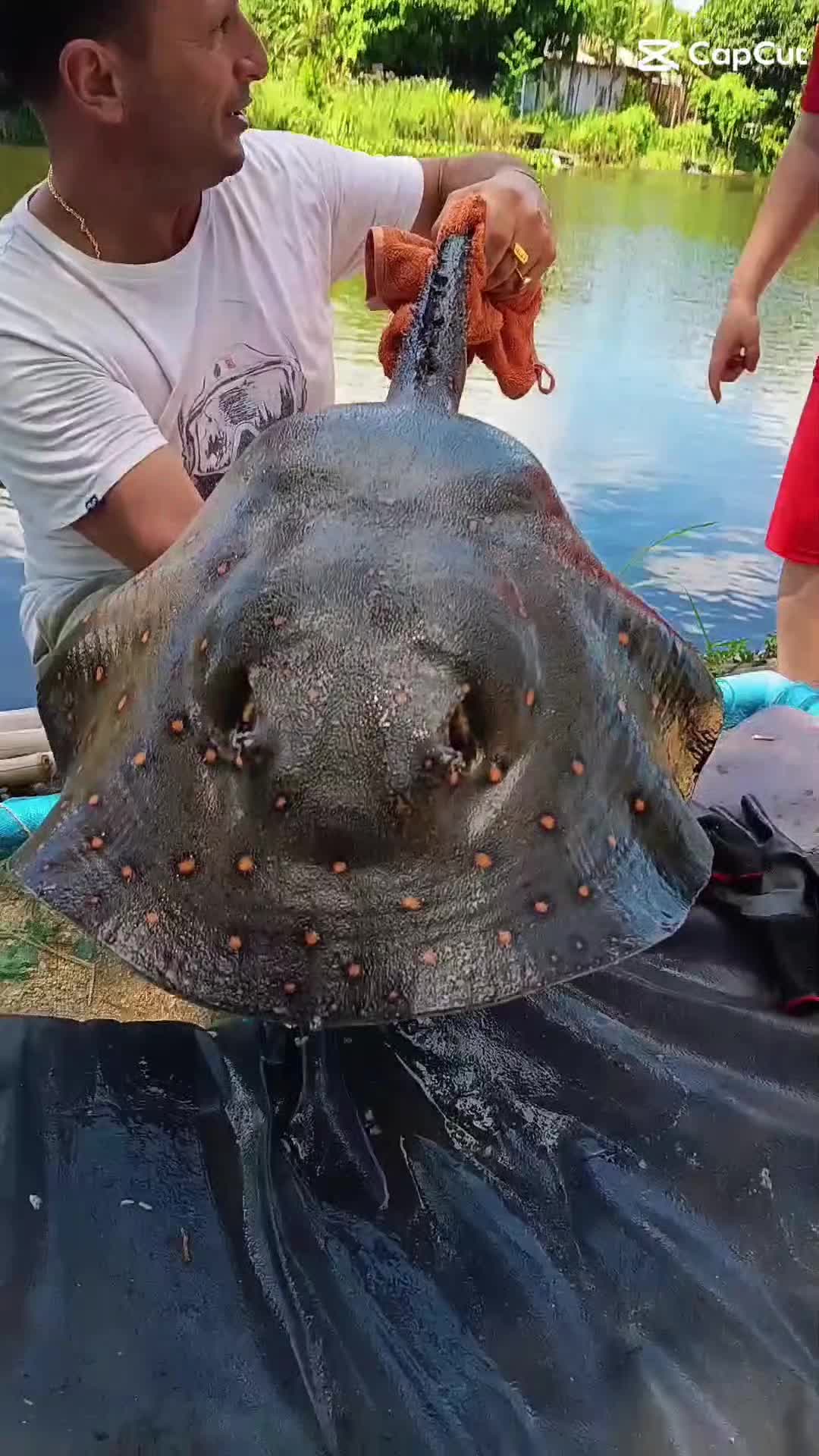 @Tight Lines Fishing Pattaya