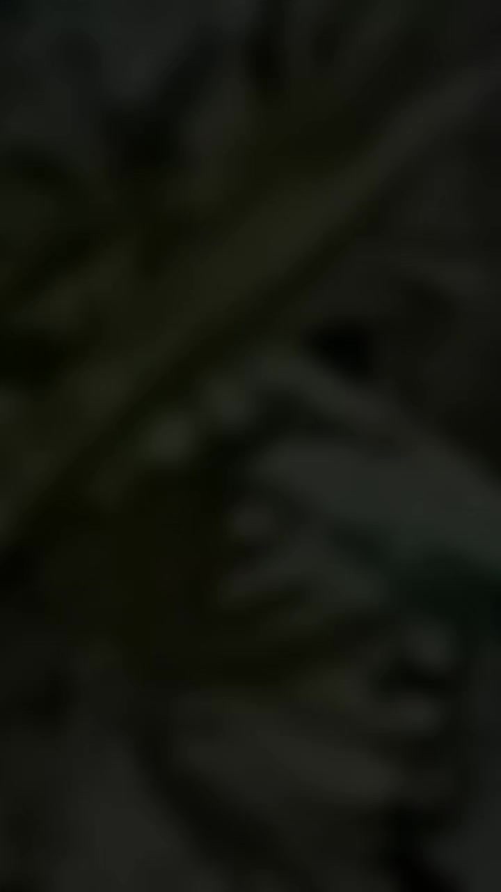 @๐.๐๐๐ฃ๐๐ฌ๐ฐ๐๐ซ๐ข๐งธ๐ค