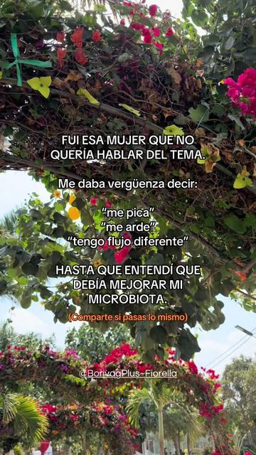 @Borivag Chiclayo y Provincias