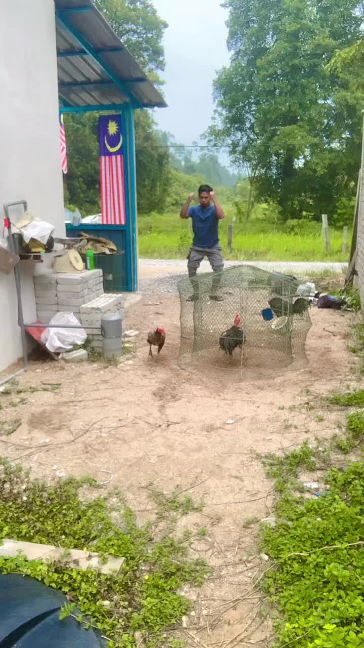 @mat din farm(GMF)