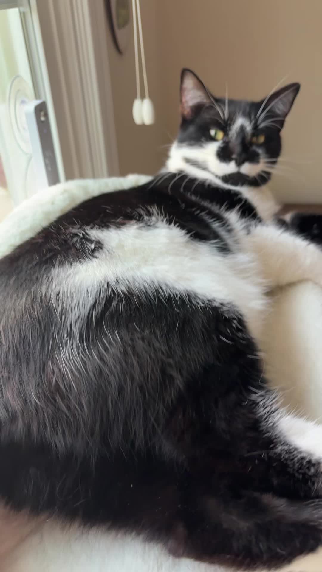 @Kat