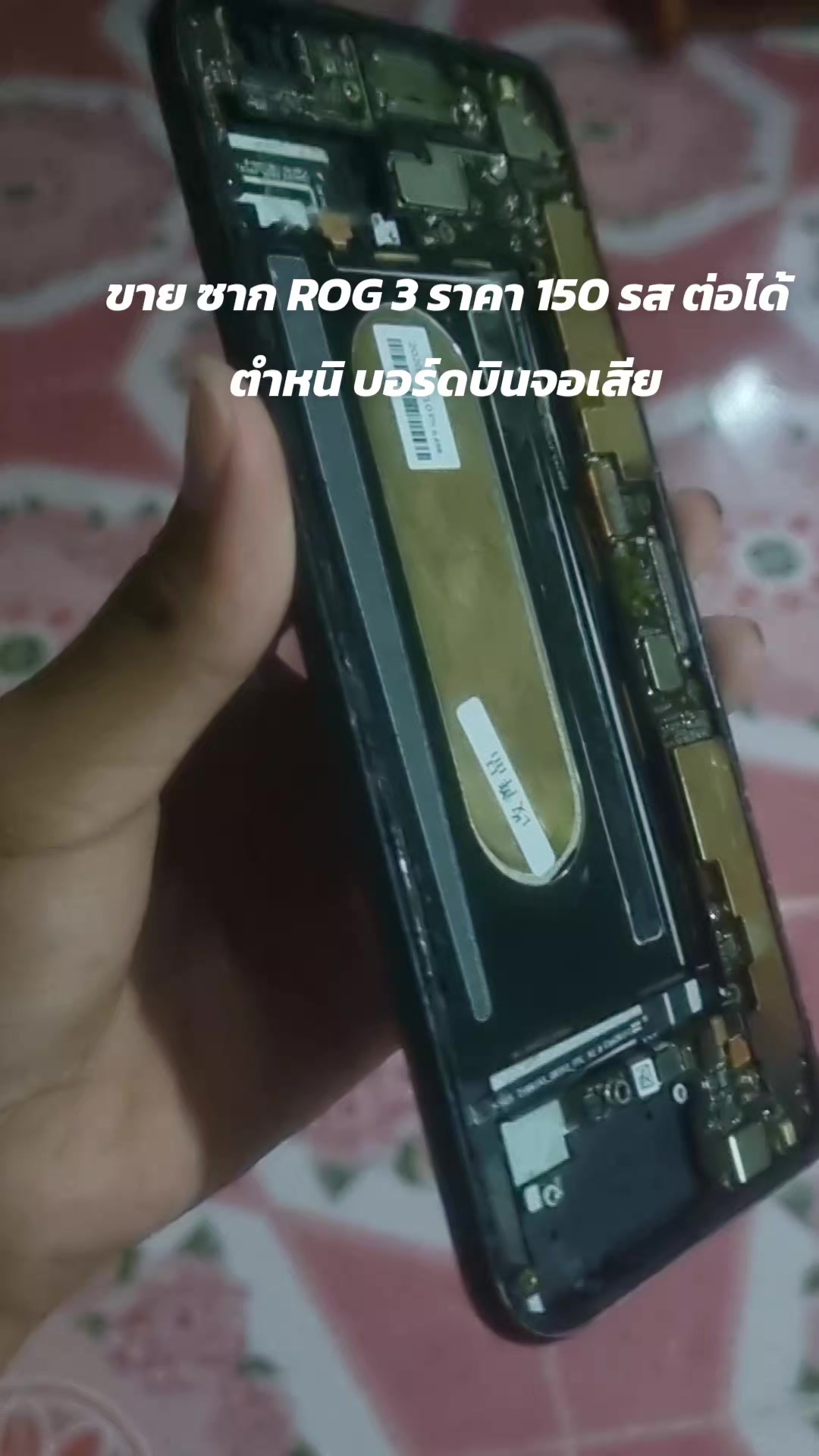@NEWTON_iT🇹🇭