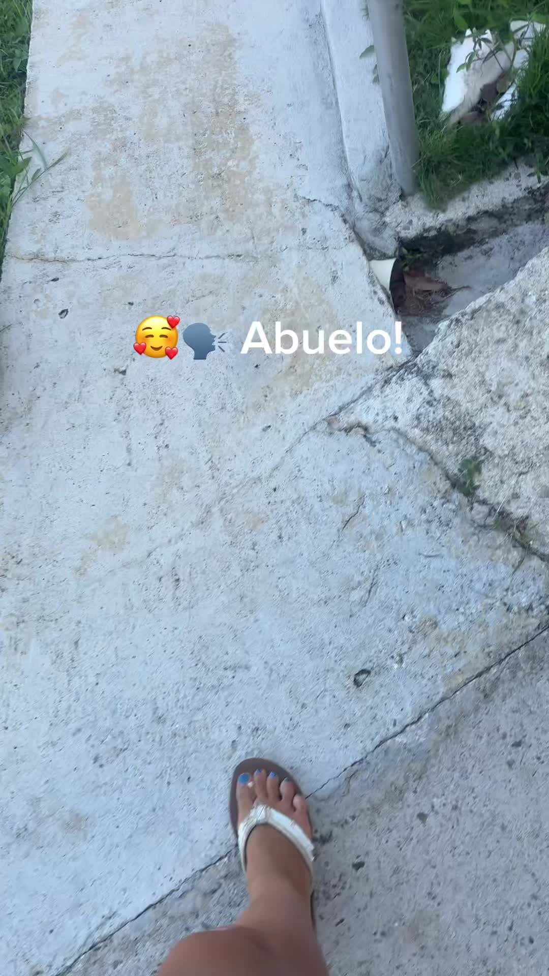 @Yukai 🎣🩵
