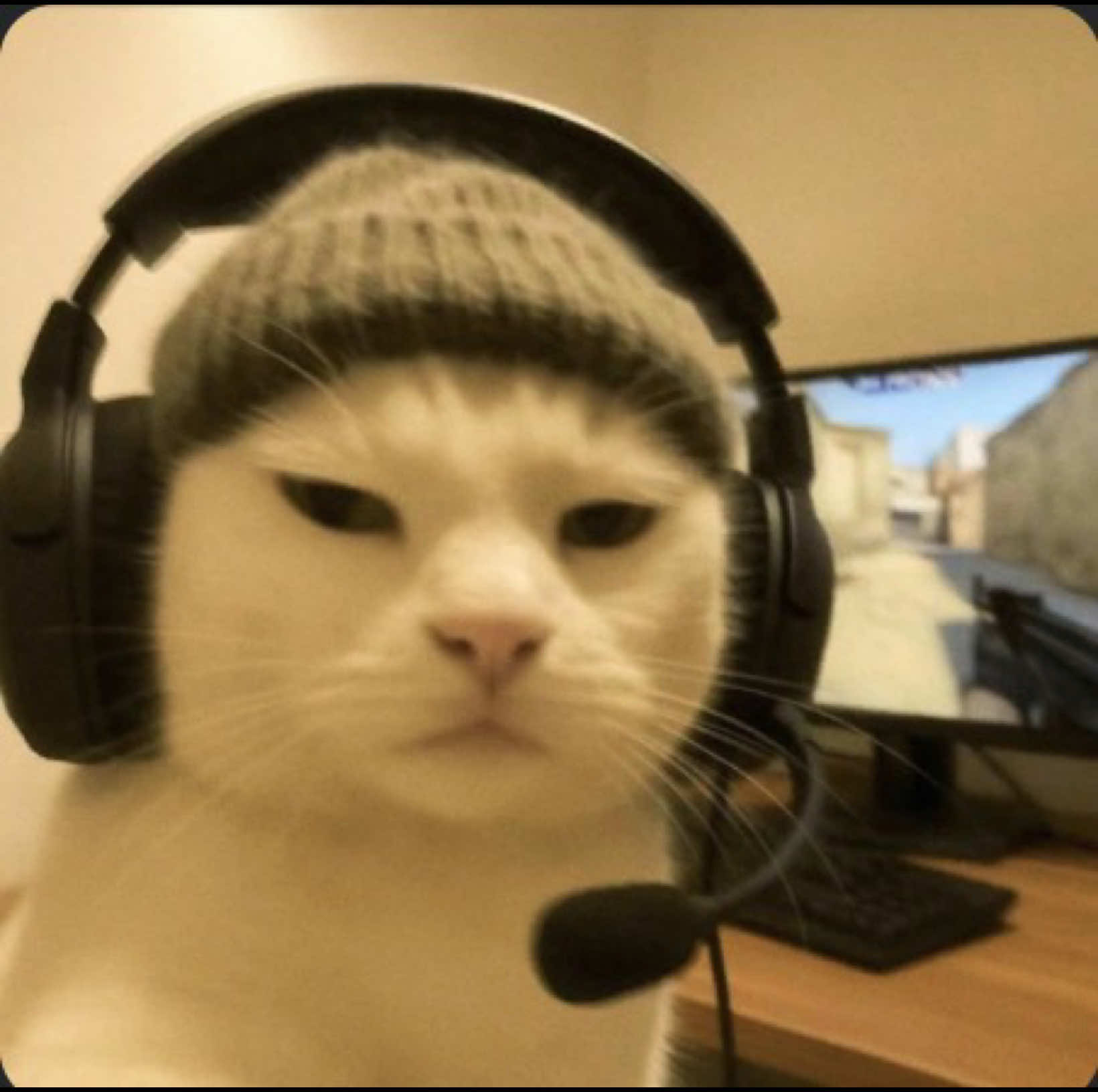 @🫧༻✧ 𝔲𝔫𝔦ℭ𝔵𝔯𝔫_𝔭𝔲𝔭༻✧🎵