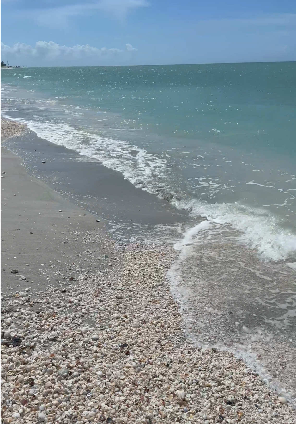 @Sanibel Sis
