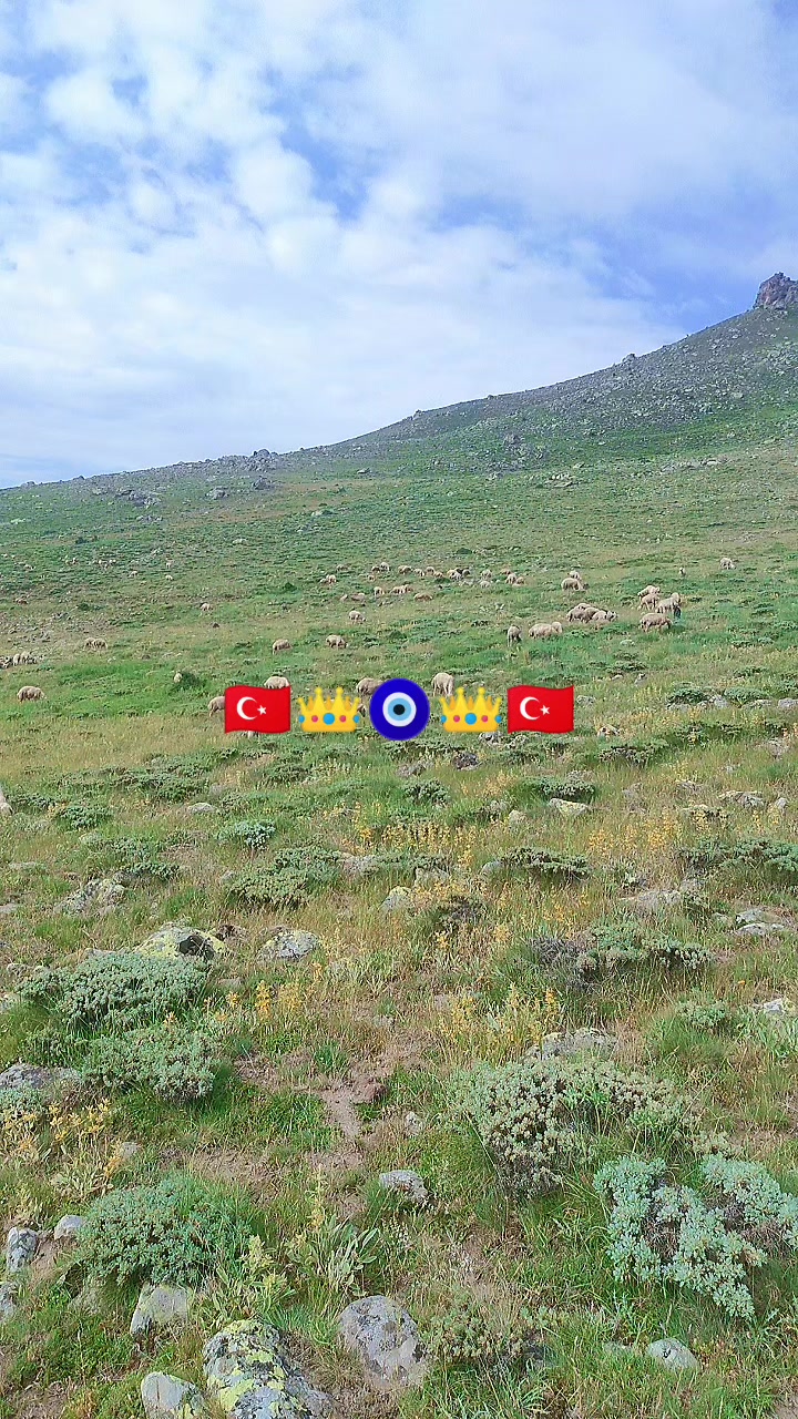 @Emre &Ouml;zt&uuml;rk 51