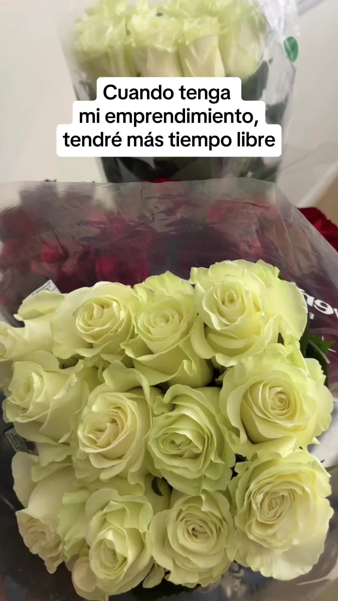 @Vanessa ✨️🦋