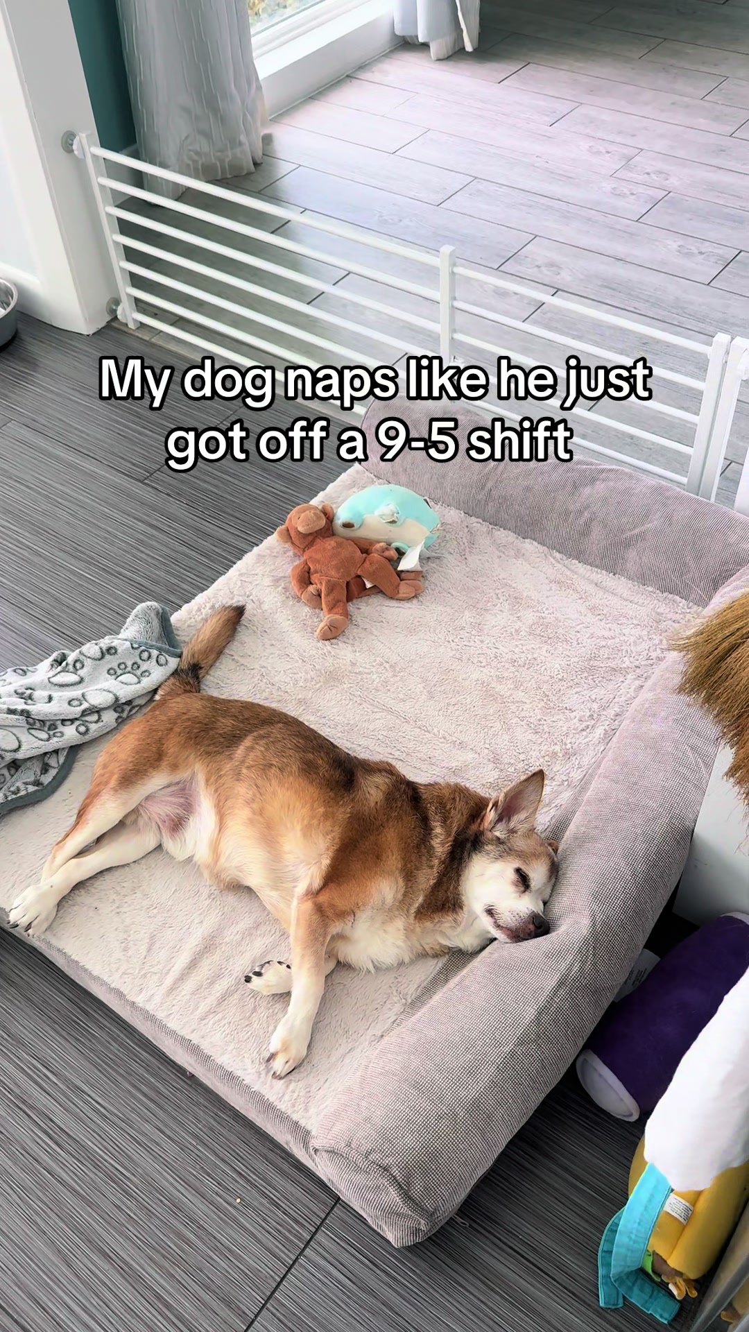 @Vivi 🩵