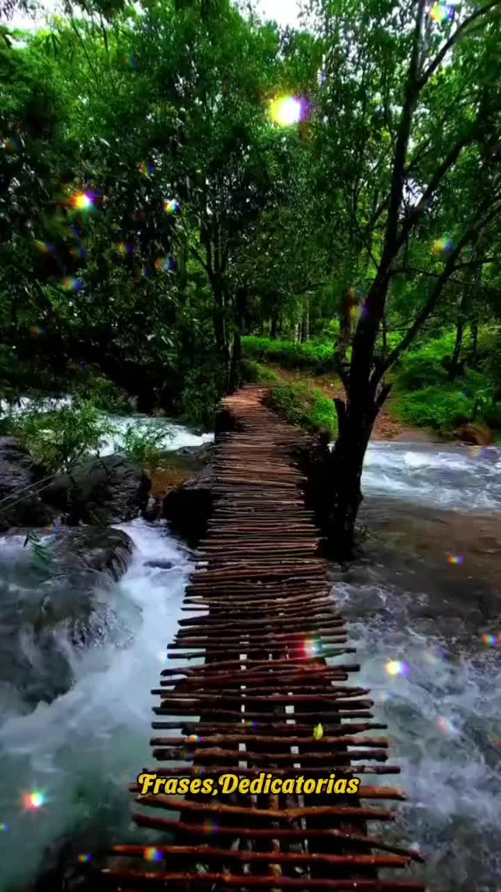 @@Fråsë§,Dëdîçåtørîå§ 💗✍️💓