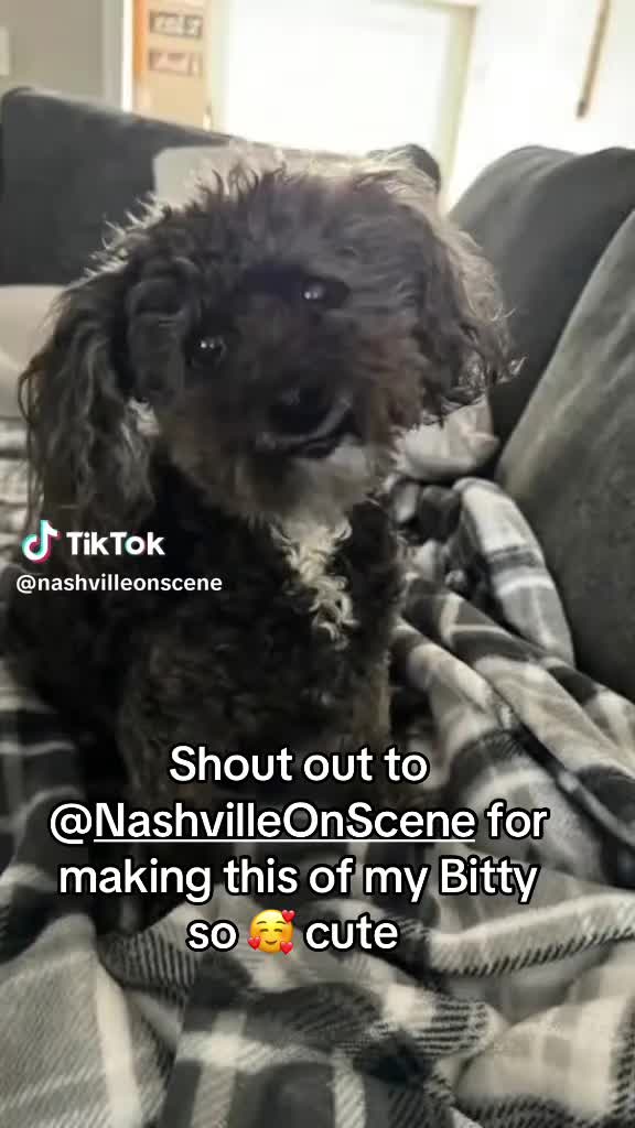 @GinaJonesNashvilleSongwriter